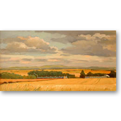 Towards Cheviot, Summer (1998)